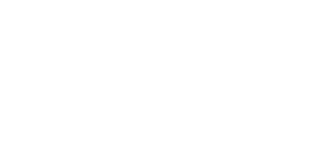 logo studia nagrań icy